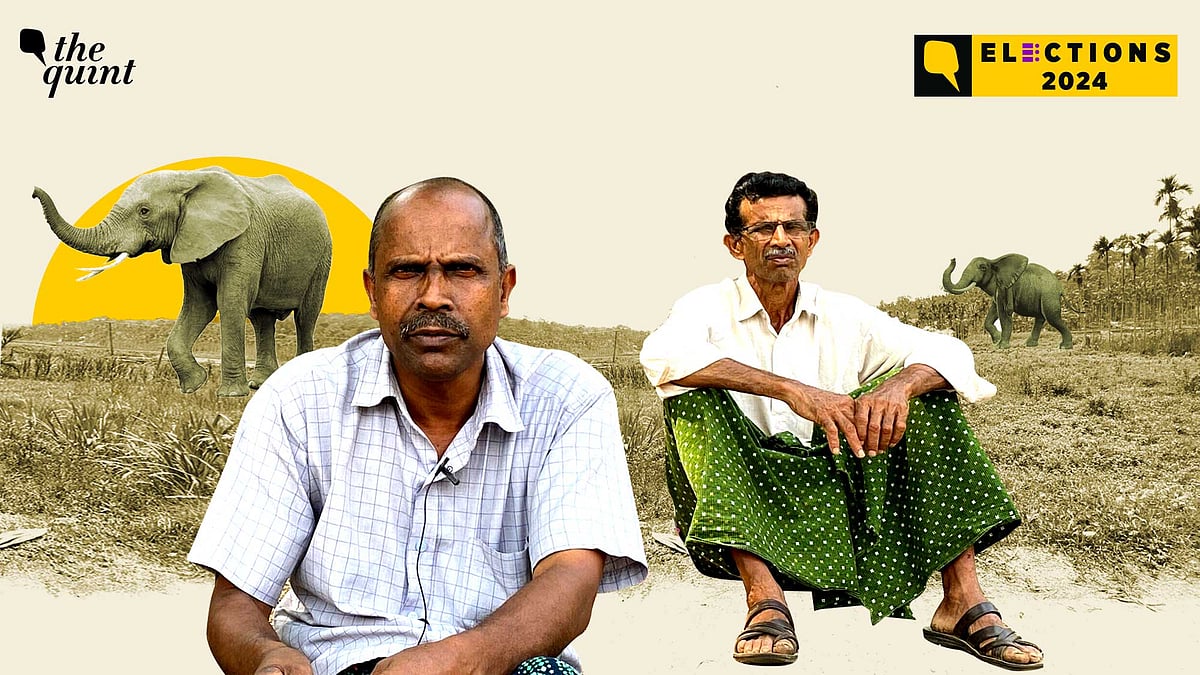 <div class="paragraphs"><p>As Rahul Gandhi returns to contest from Wayanad to face the Left Democratic Front's (LDF's) Annie Raja and the Bharatiya Janata Party's (BJP's) K Surendran in the 2024 Lok Sabha elections, a singular issue has emerged as a flashpoint in the polls: human-wildlife conflict.</p></div>
