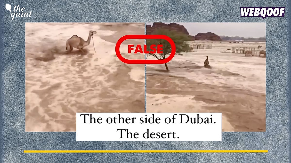 <div class="paragraphs"><p>Fact-Check: Old, unrelated video shared as one from Dubai. </p></div>