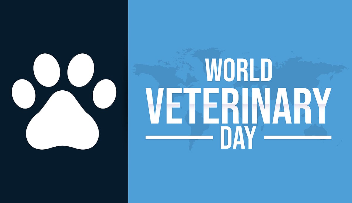 <div class="paragraphs"><p>World Veterinary Day 2024.</p></div>