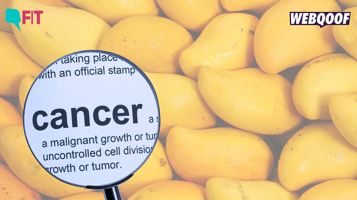 <div class="paragraphs"><p>Fact-Check: Mangoes are a rich source of nutrients like vitamin A, vitamin C, and beta-carotene.</p></div>