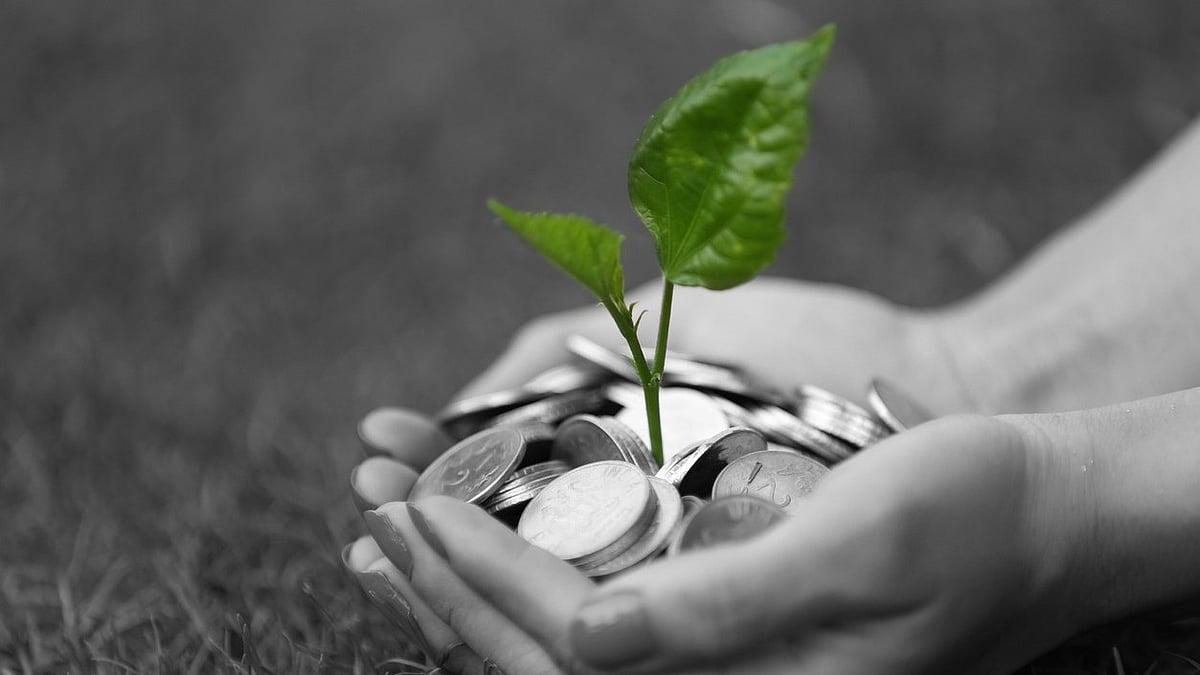 <div class="paragraphs"><p>Global Holistic Wealth Day 2024: Know the date and origin of the day here.</p></div>