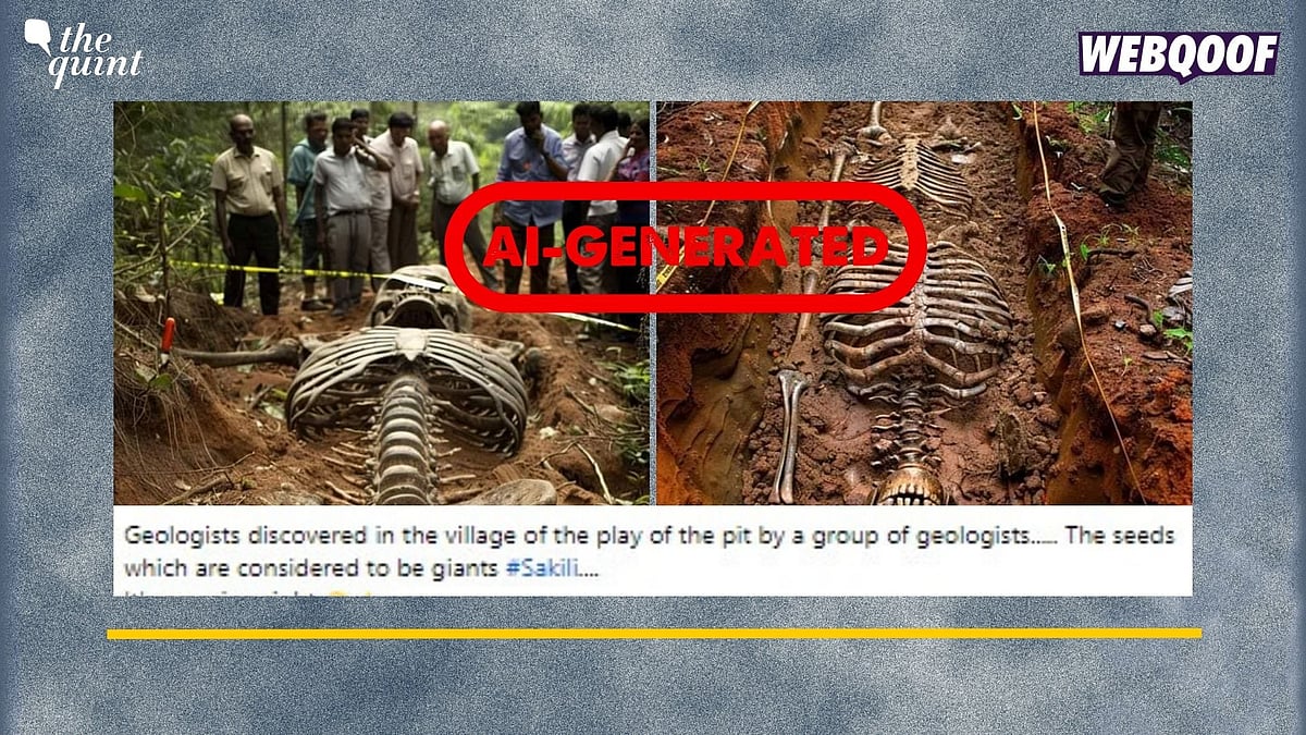 <div class="paragraphs"><p>Fact-Check: These images are generated using AI-technology.&nbsp;</p></div>