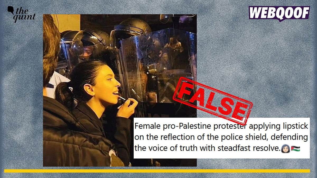 <div class="paragraphs"><p>Fact-check: An unrelated image of a woman seen in a protest in Georgia is being falsely linked to pro-Palestine protests in the US.</p></div>