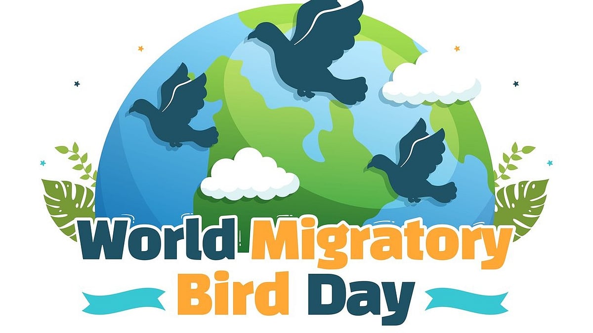 <div class="paragraphs"><p>World Migratory Bird Day 2024.</p></div>
