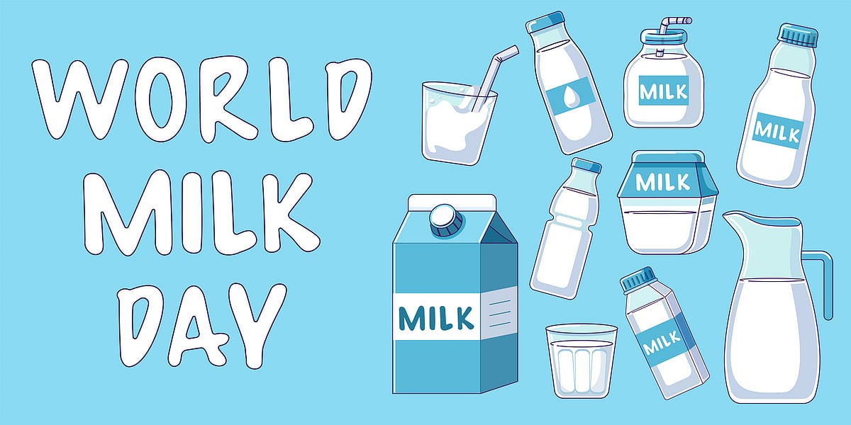 <div class="paragraphs"><p>World Milk Day 2024: Health Benefits of Milk.</p></div>