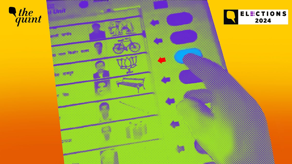 <div class="paragraphs"><p>A young boy, identified as Rajan Singh was arrested after he cast 8 votes in favour of BJP.</p></div>