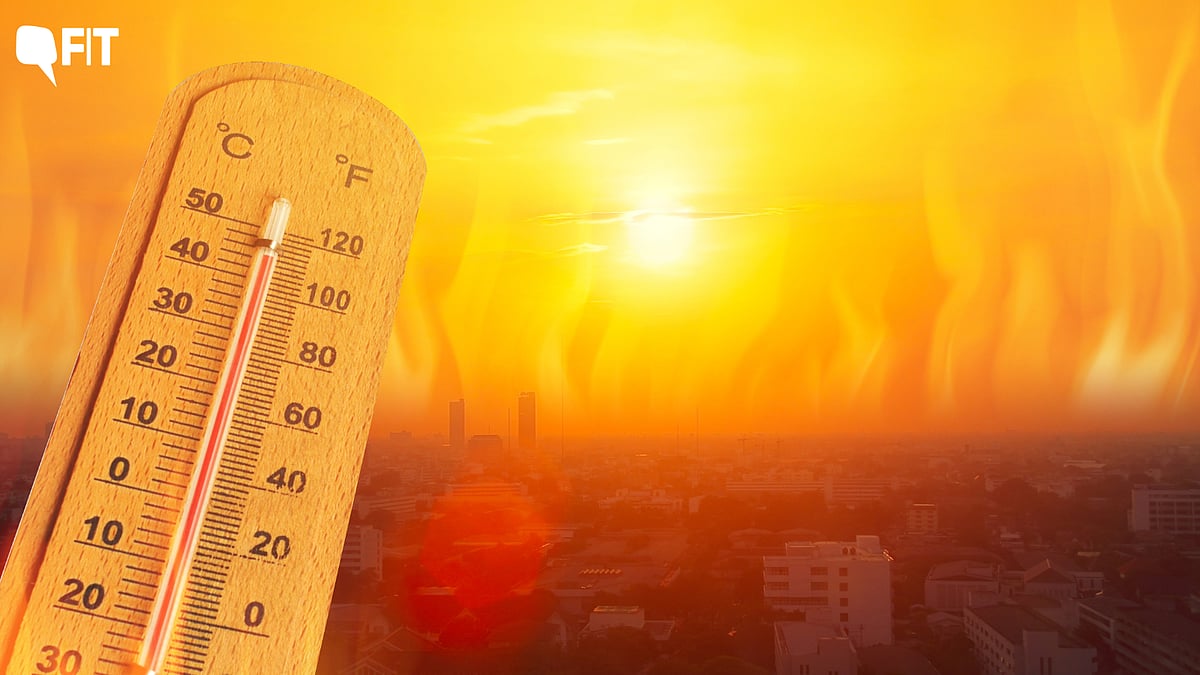 <div class="paragraphs"><p>The guidelines come after the IMD's warning that the region will see “above-normal maximum temperatures” in May.</p></div>