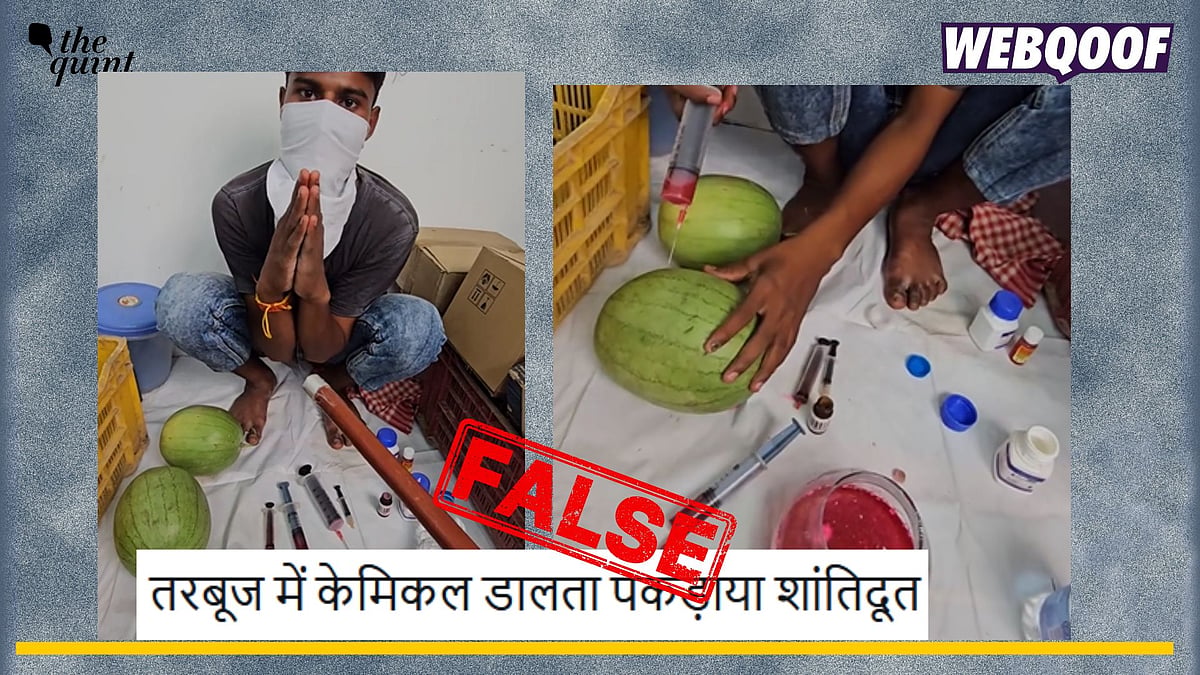 <div class="paragraphs"><p>Fact-check: A scripted video is going viral on social media to claim that a police officer caught a man injecting artificial colours into a watermelon.</p></div>
