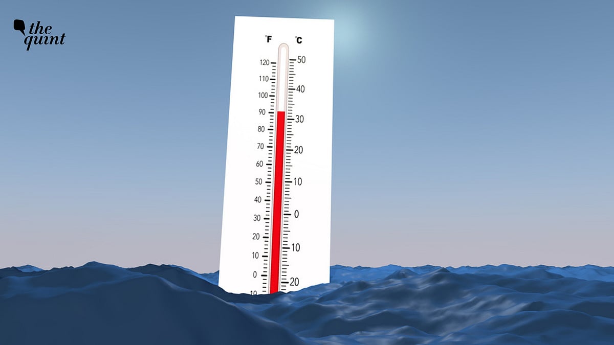 <div class="paragraphs"><p>The Indian Ocean is headed towards a near-permanent state of heat waves. </p></div>