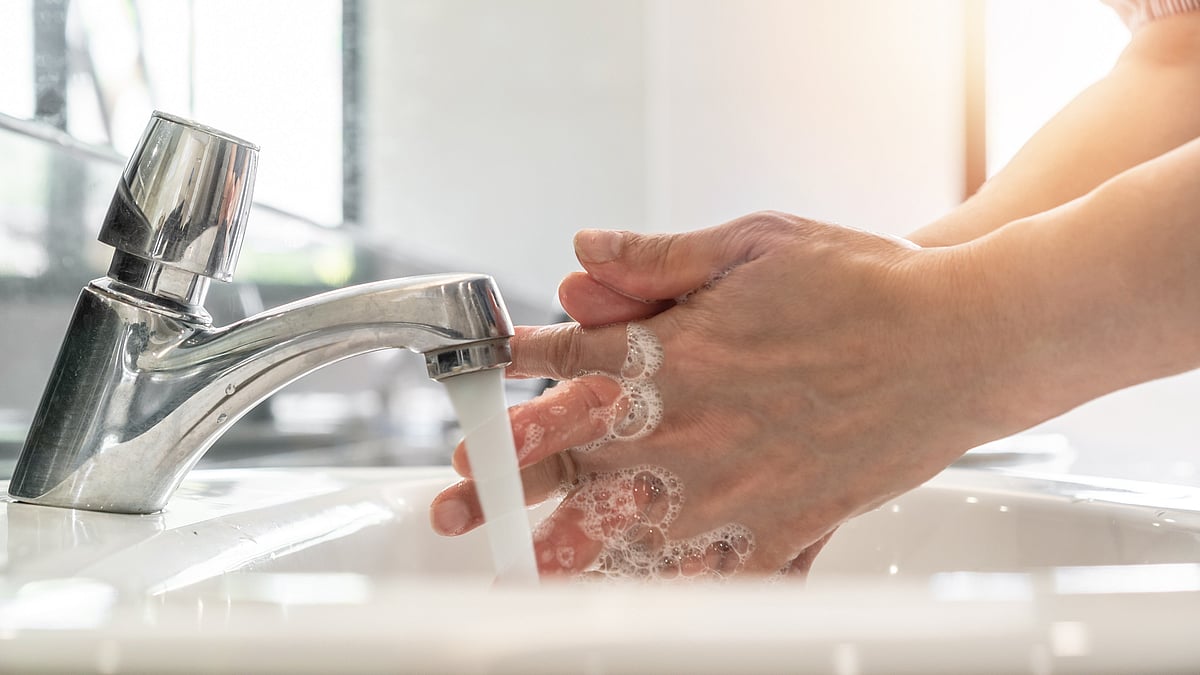 <div class="paragraphs"><p>World Hand Hygiene Day 2024: Know how you can celebrate the event.</p></div>