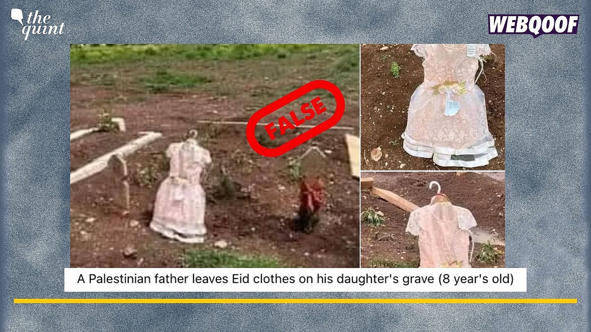 <div class="paragraphs"><p>Fact-Check: This image is not from Palestine.&nbsp;</p></div>