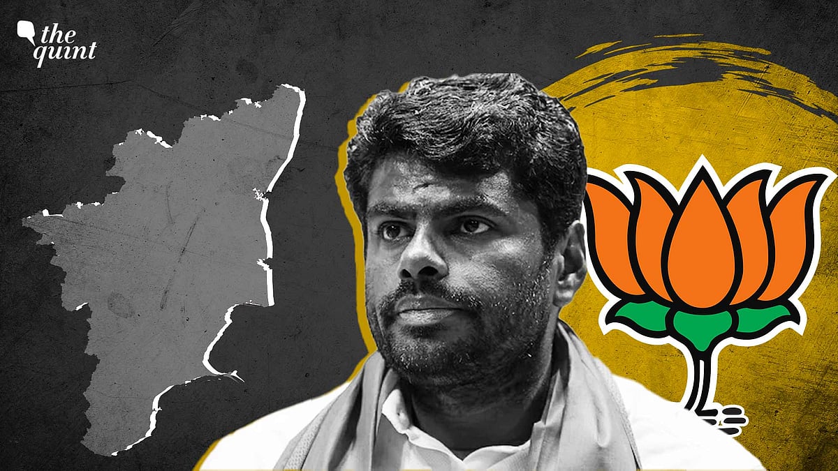 <div class="paragraphs"><p>By not&nbsp;contesting, Annamalai avoids the possibility of defeat, but he also misses the opportunity to convert his visibility into tangible political capital.</p></div>