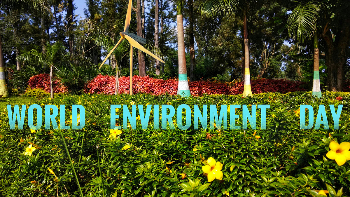 <div class="paragraphs"><p>World Environment Day 2024.</p></div>