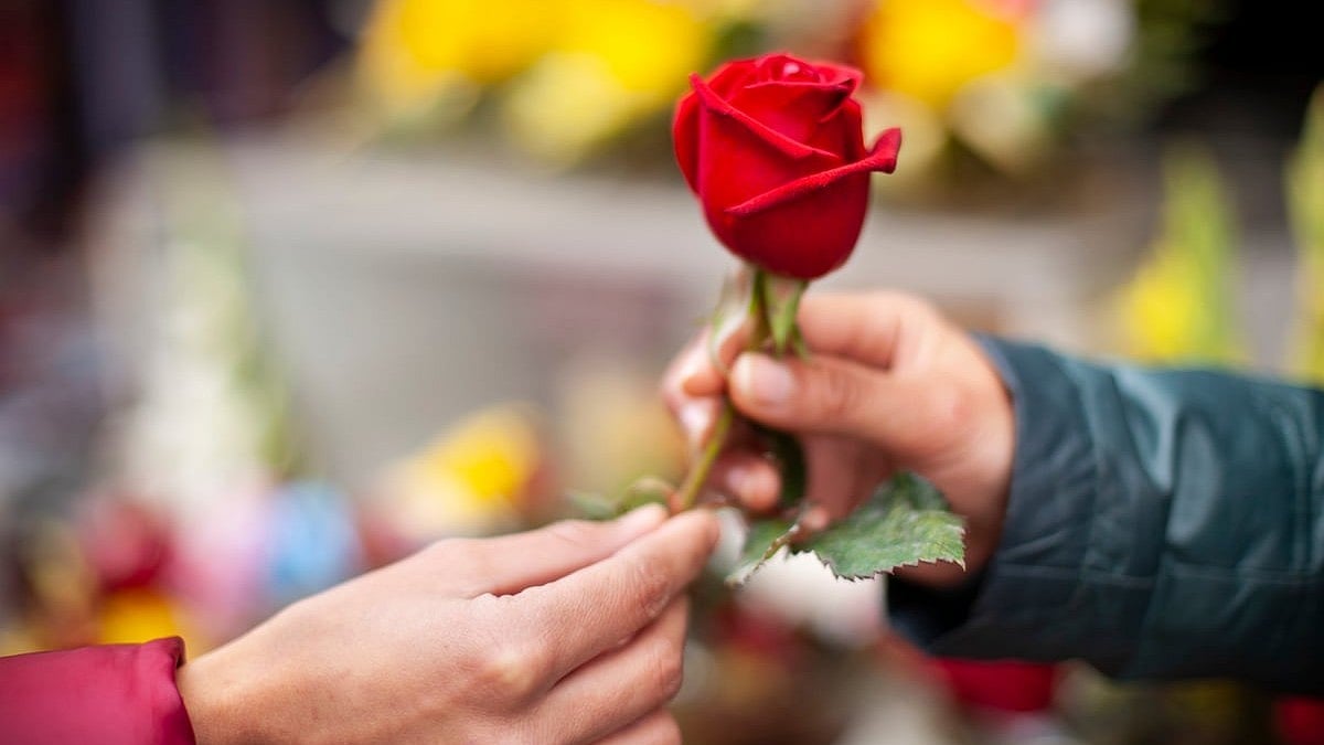 <div class="paragraphs"><p>National Red Rose Day 2024: Know the history and importance of the event here.</p></div>