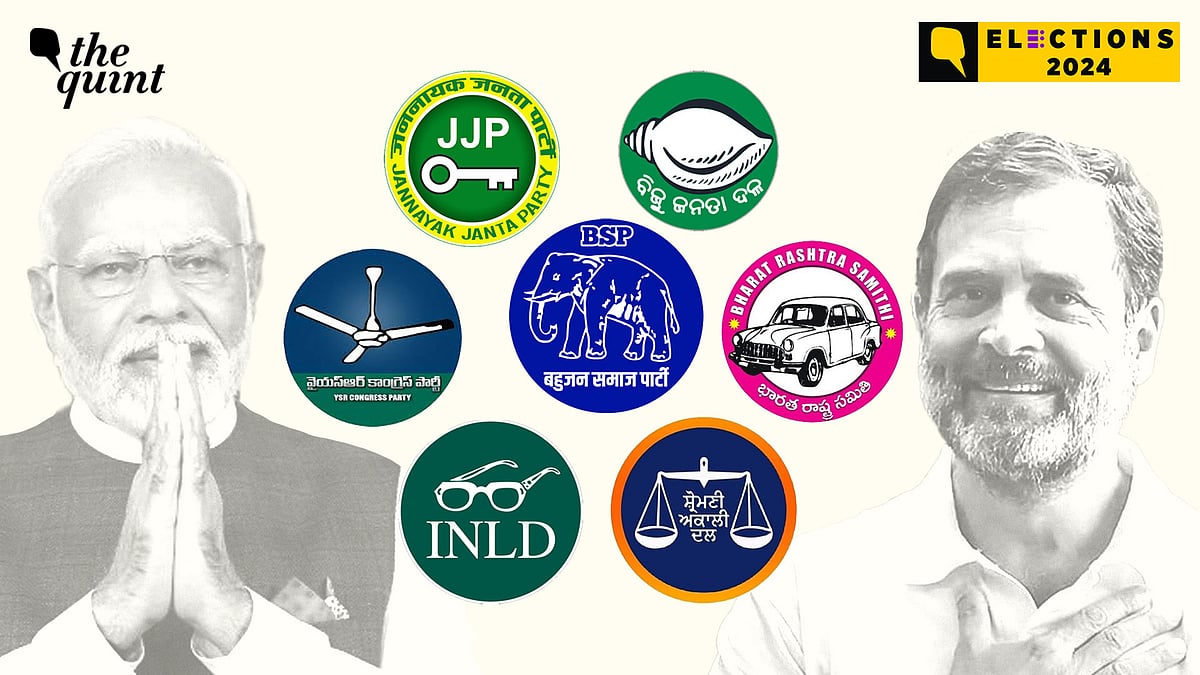 <div class="paragraphs"><p>Non-aligned regional parties lost votes in 2024 Lok Sabha elections, as people chose between 'INDIA' and NDA blocs.</p></div>