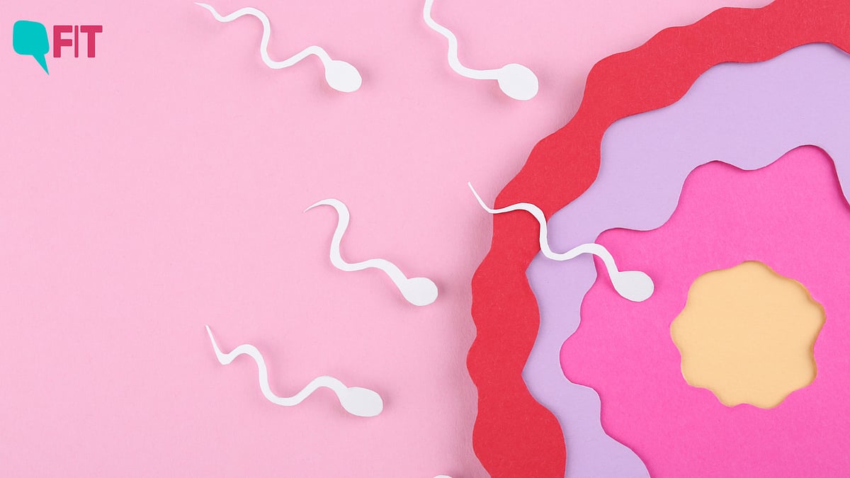 <div class="paragraphs"><p>To break down the underlying factors behind male infertility, FIT reached out to experts. </p></div>