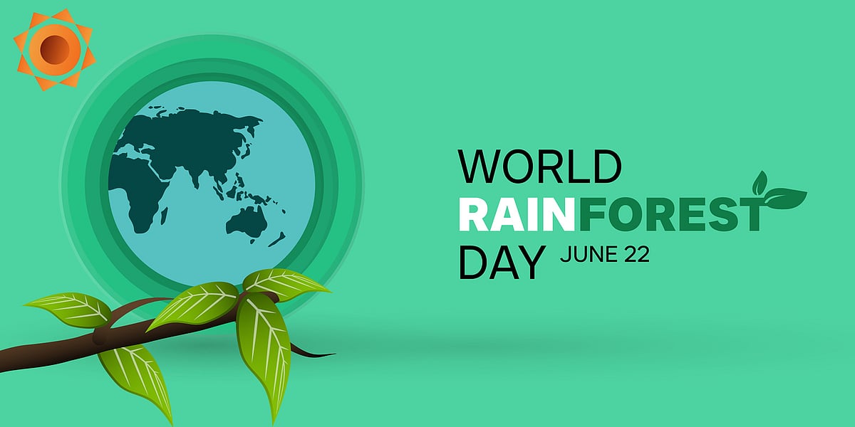 <div class="paragraphs"><p>World Rainforest Day 2024</p></div>