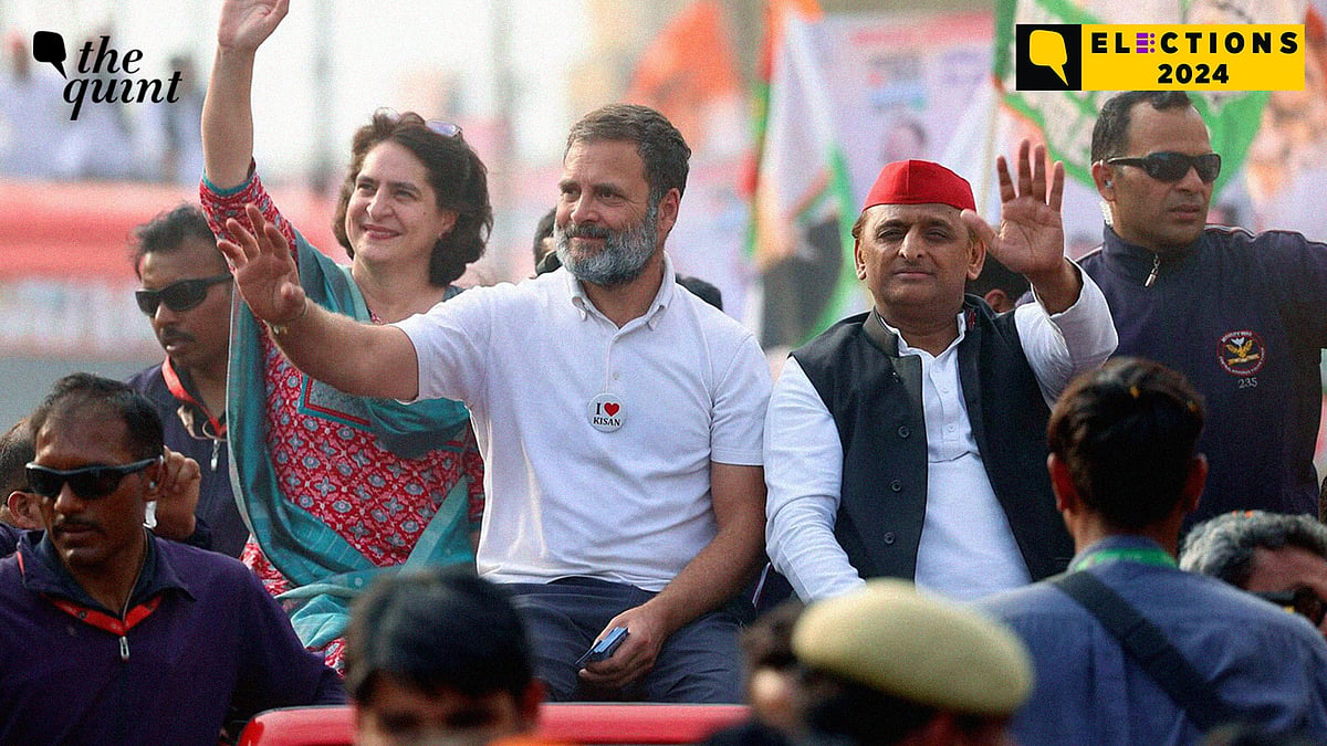 <div class="paragraphs"><p>Samajwadi Party has become the largest party in Uttar Pradesh with 37 seats.</p></div>