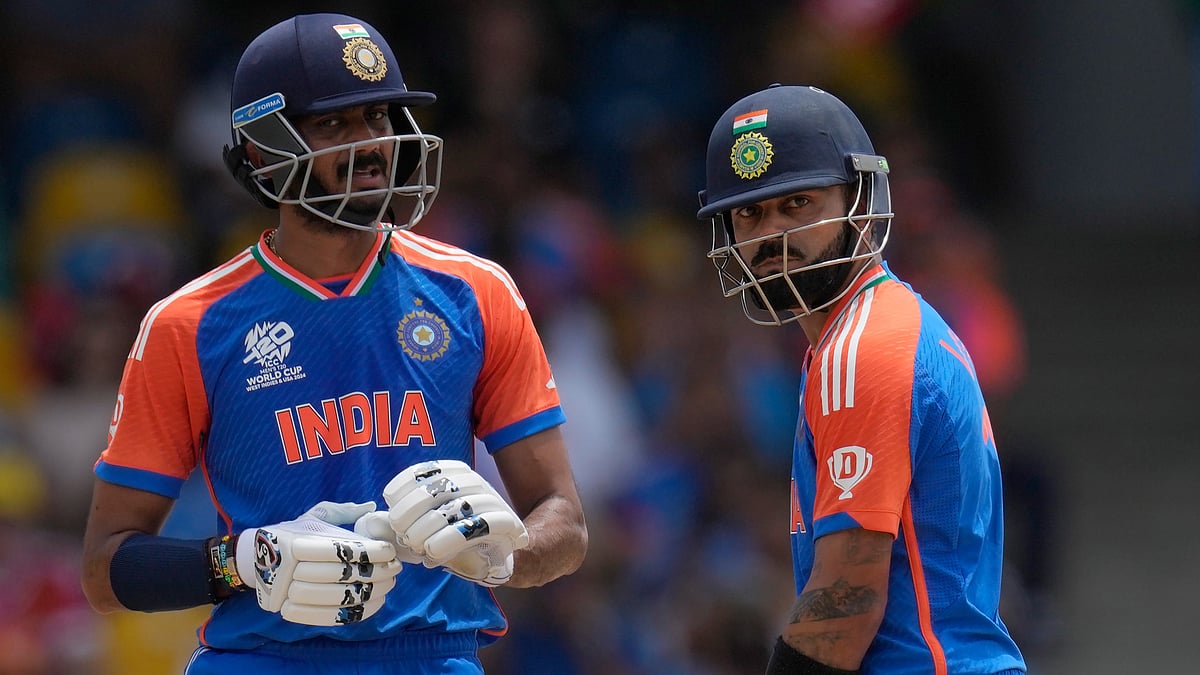 <div class="paragraphs"><p>India win the World Cup.</p></div>