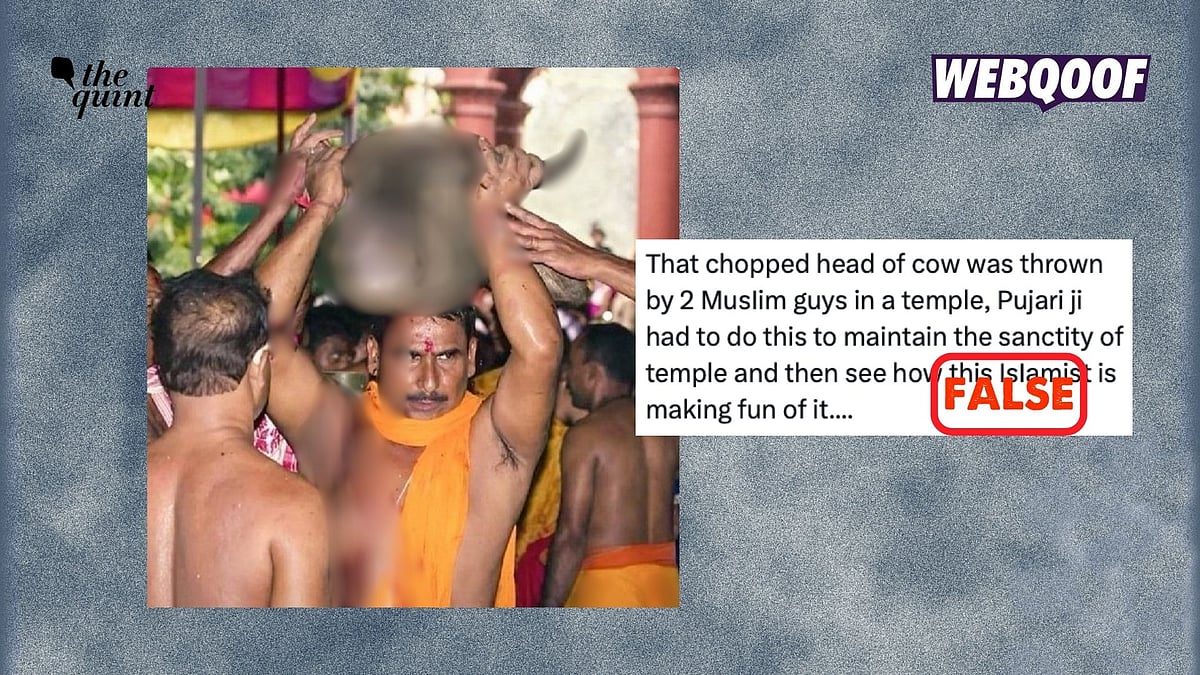 <div class="paragraphs"><p>The photo is seven years old and has no connection to the recent communal tensions in Ratlam.</p></div>