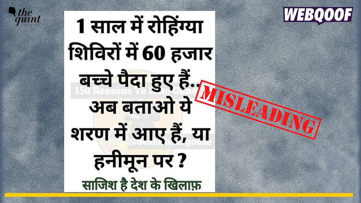 <div class="paragraphs"><p>Fact-check: A misleading claim about 60,000 births at Rohingya camps in India per year is going viral online.</p></div>