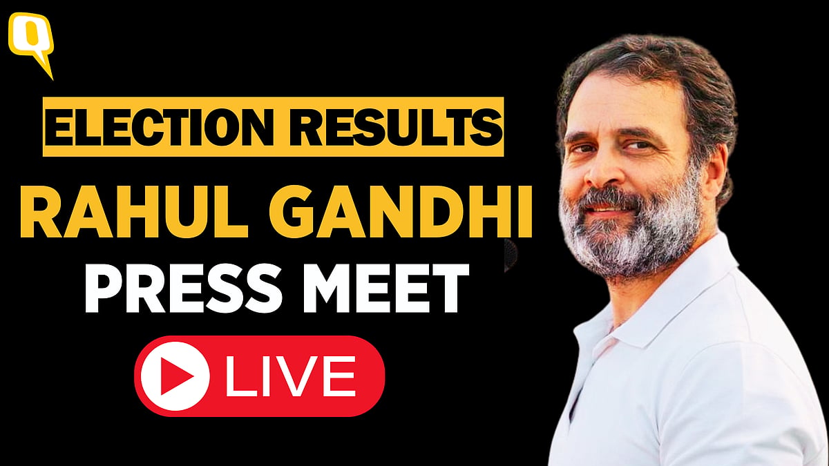 <div class="paragraphs"><p>Rahul Gandhi addressed press conference after winning Raebareli and Wayanad.</p></div>
