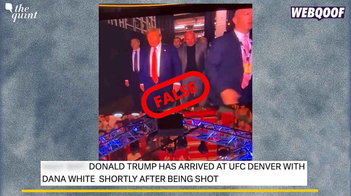 <div class="paragraphs"><p>Fact-Check: This video is from March and not recent.</p></div>