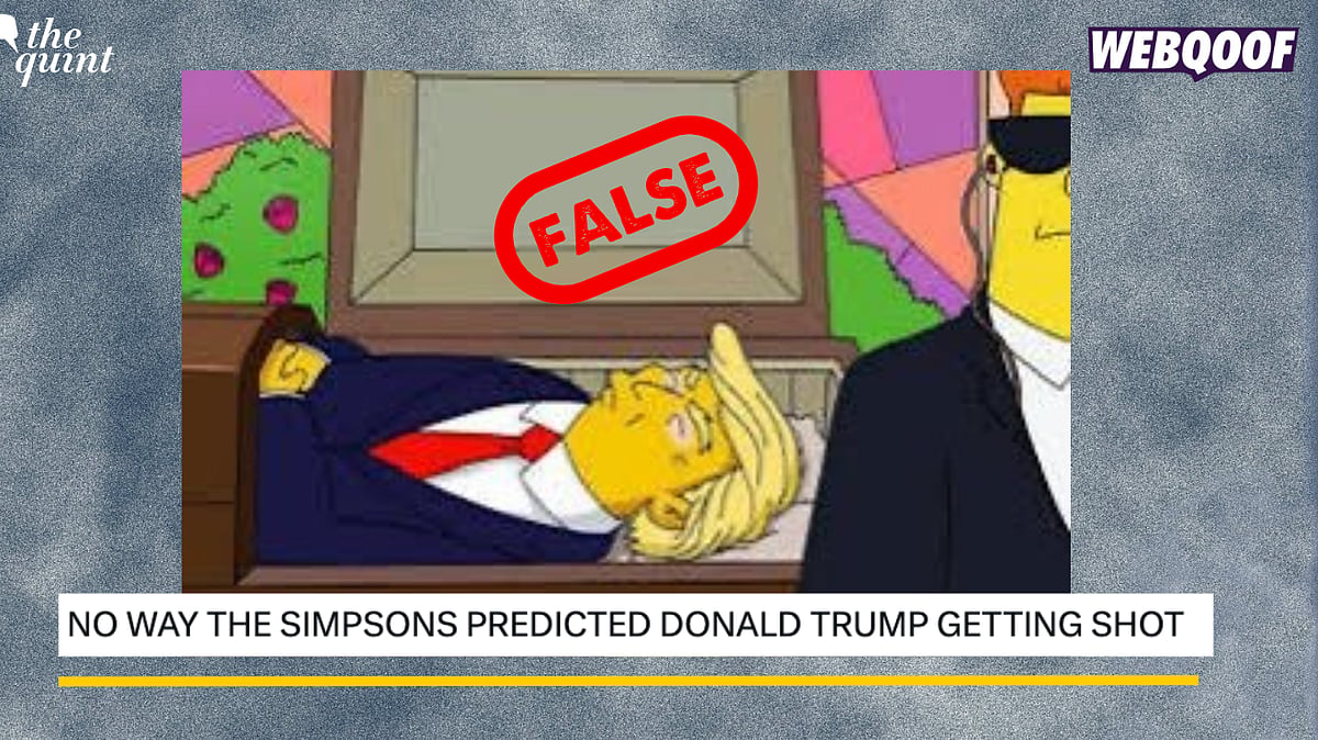 <div class="paragraphs"><p>Fact-Check: This frame has not appeared on the show.&nbsp;</p></div>