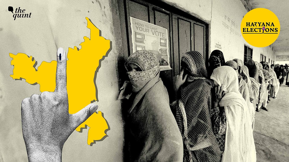 <div class="paragraphs"><p>In this story, we analyse how did Dalits vote in the Haryana election—did they vote for the BJP or the Congress? Why did they switch from their traditional Congress support to the BJP? Did the Dalit vote cost the Congress its expected election victory? Read more to find out.</p></div>