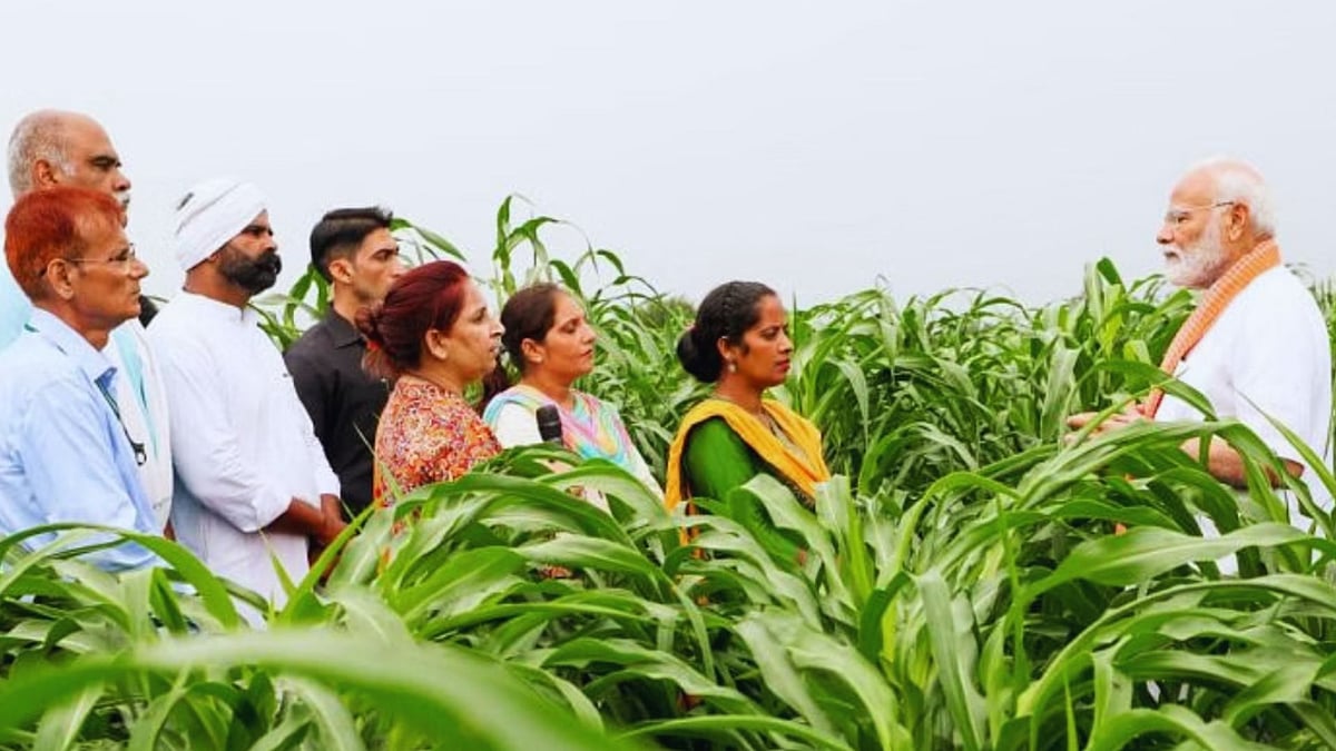 <div class="paragraphs"><p><em>Prime Minister Narendra Modi during the release of 109 high yielding, climate resilient and biofortified varieties of crops, at India Agricultural Research Institute, in New Delhi.</em></p></div>