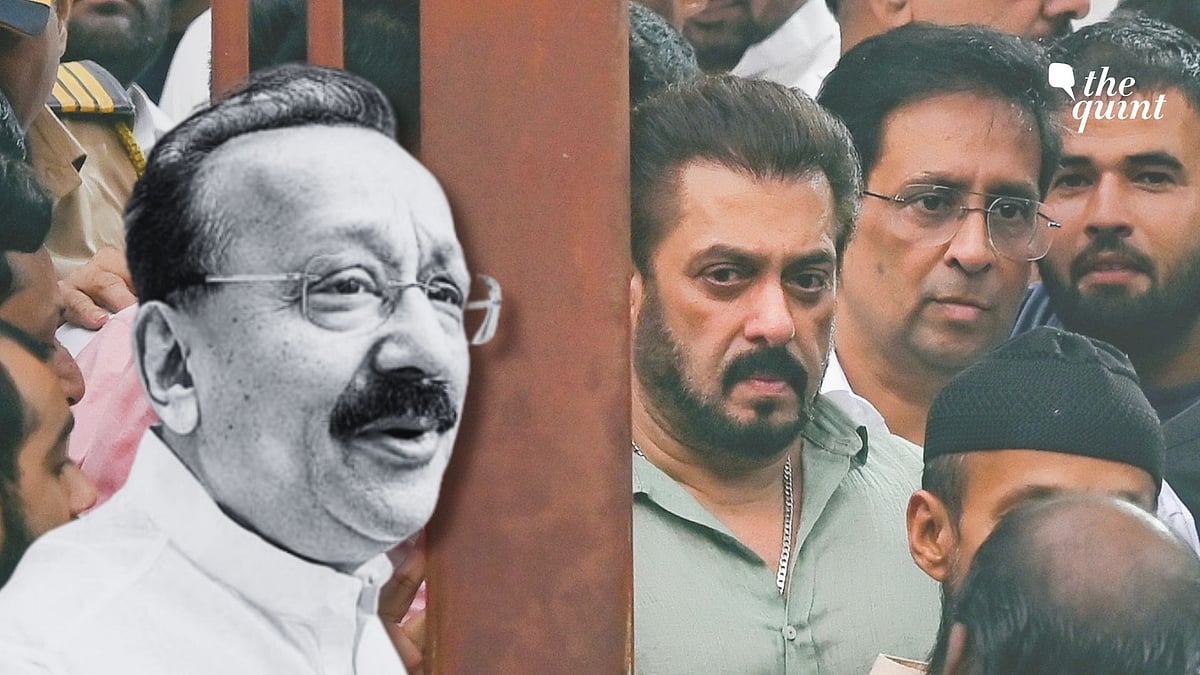 <div class="paragraphs"><p>'Those Helping Salman...': Baba Siddique's Killers, Their Plan & Bishnoi Links</p></div>