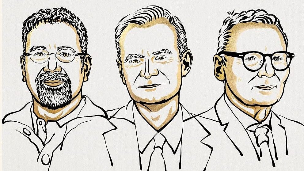 <div class="paragraphs"><p>Daron Acemoglu, Simon Johnson and James Robinson won the Sveriges Riksbank Prize in Economic Sciences in 2024. </p></div>