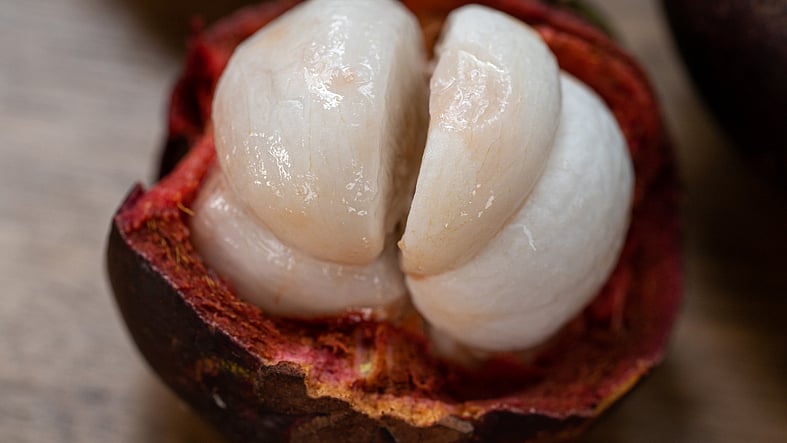 <div class="paragraphs"><p>Health Benefits of Mangosteen.</p></div>