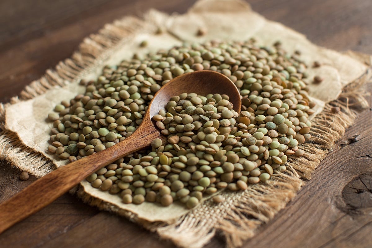 <div class="paragraphs"><p>Health Benefits of Lentils.</p></div>