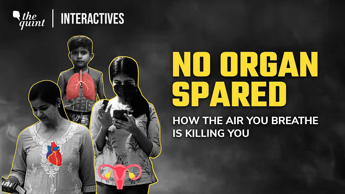 <div class="paragraphs"><p>As the air quality in India's national capital once again dips, know what air pollution does to every organ of your body.</p></div>