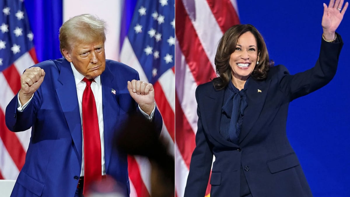 <div class="paragraphs"><p>India would be significantly impacted by the possible paths of a Trump or Harris presidency, which would change the nature of defence, economic and diplomatic relations between the two biggest democracies in the world.</p></div>