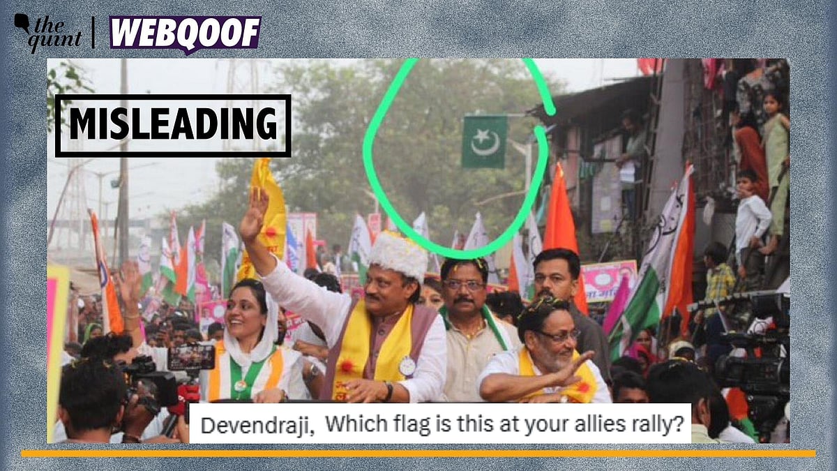 <div class="paragraphs"><p>Fact-Check | This green flag seen in the viral image is not that of Pakistan.</p></div>