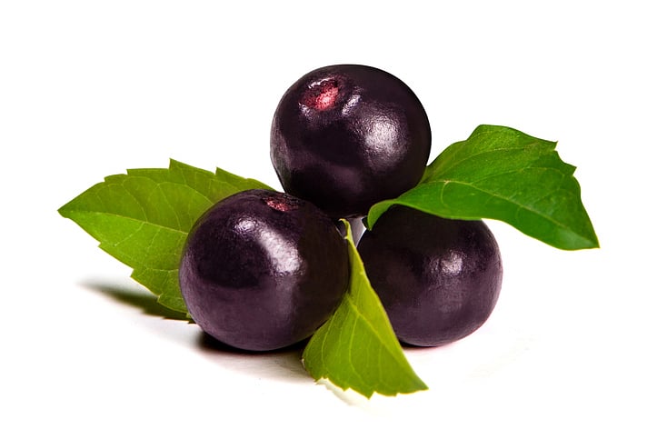 <div class="paragraphs"><p>Health Benefits of Acai Berry.</p></div>