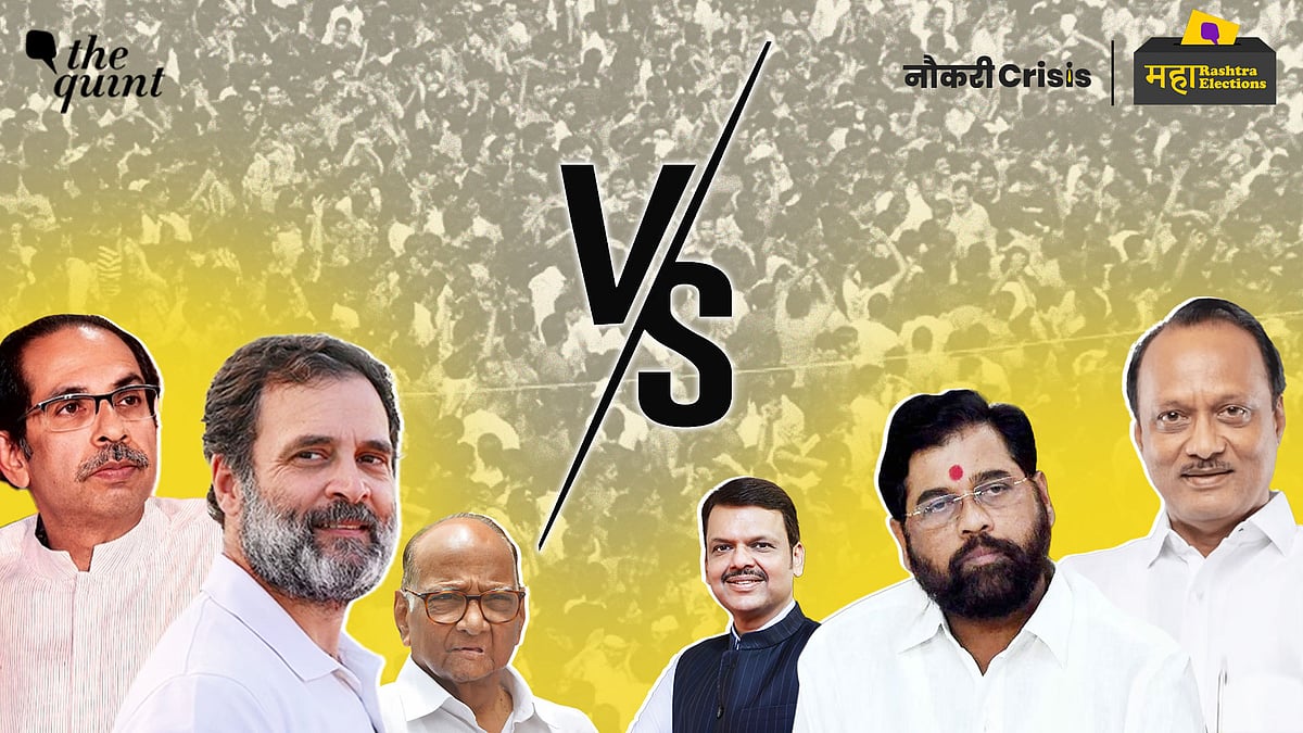 <div class="paragraphs"><p>As Maharashtra readies for Assembly elections on 20 November, manifestos released by BJP-led Mahayuti as well as the Congress-backed Maha Vikas Aghadi (MVA) seem to have acknowledged joblessness in the state — promising to dole out sops to the unemployed youth if they come to power.</p></div>