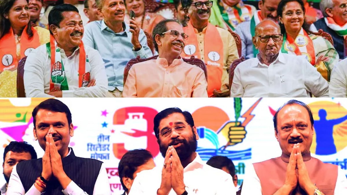 <div class="paragraphs"><p>Vidarbha's political weight has grown, largely driven by its socio-economic concerns and the promises made by political heavyweights.</p></div>