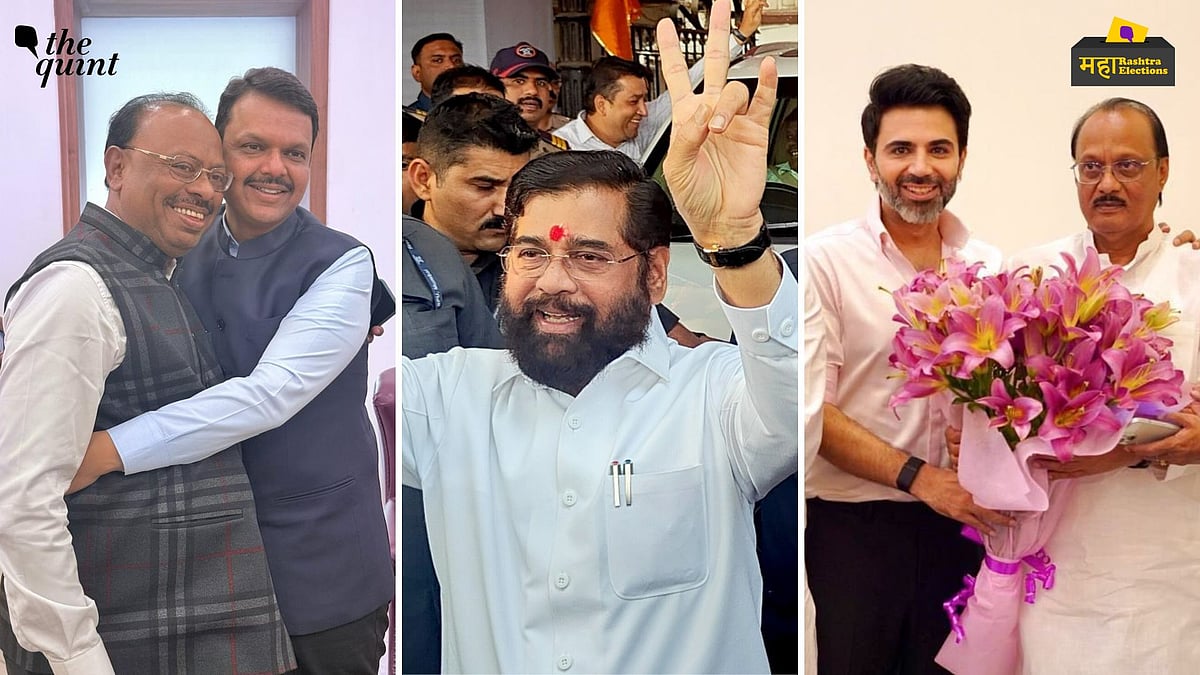<div class="paragraphs"><p>Maharashtra Assembly elections 2024 results</p></div>