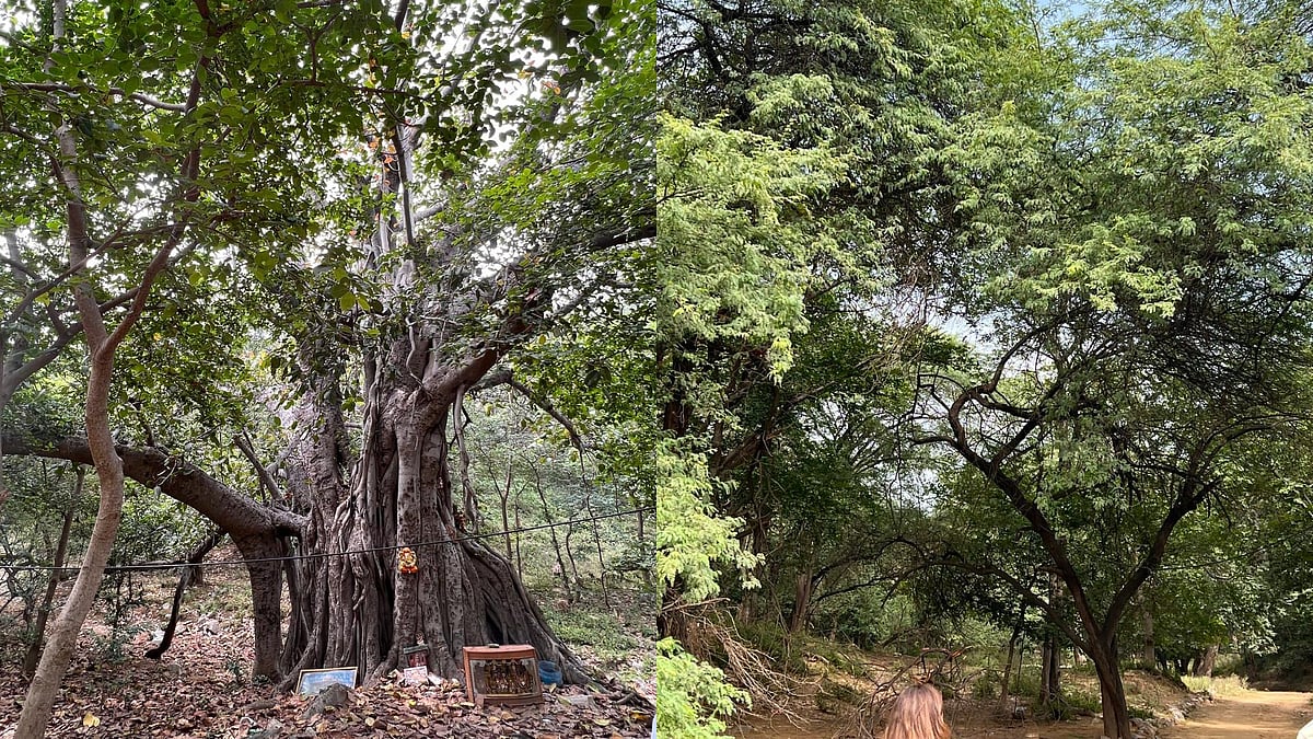 <div class="paragraphs"><p>Photos of Mangar Bani.</p></div>