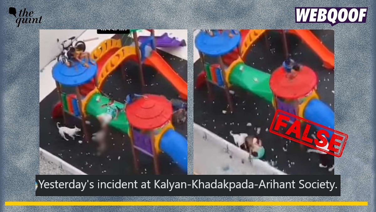 <div class="paragraphs"><p>Fact-check: A video from Sao Paulo, Brazil, of dogs attacking children is going viral as one from Kalyan, Maharashtra. </p></div>