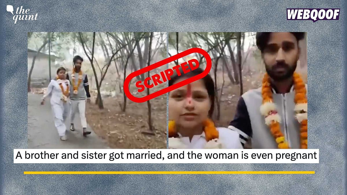 <div class="paragraphs"><p>Fact-Check: This video is scripted and not real, as claimed. </p></div>