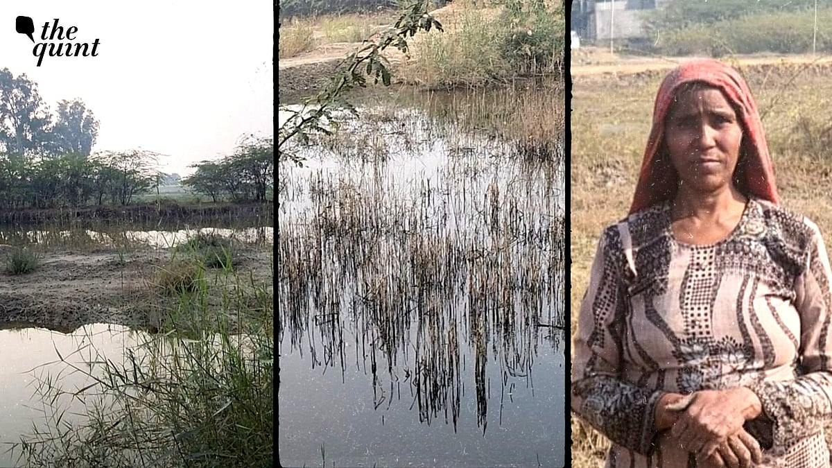 <div class="paragraphs"><p>Farmers in Haryana are facing financial ruin due to waterlogged farmlands caused by excessive rainfall and overflowing lakes.</p></div>