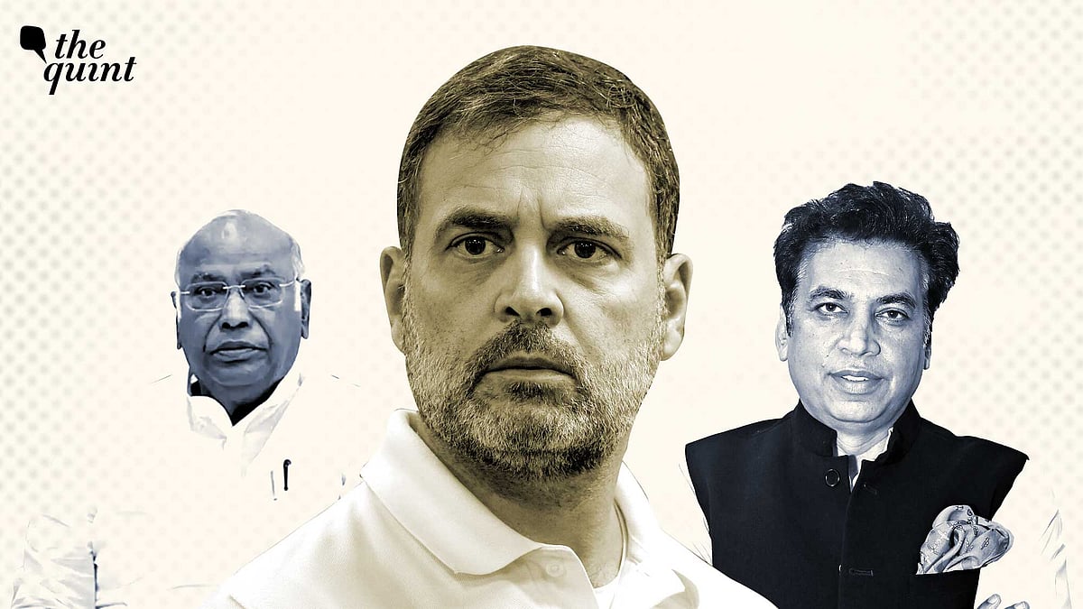 <div class="paragraphs"><p>There have been 2 different viewpoints within the Congress on the strategy for Delhi elections.&nbsp;</p></div>