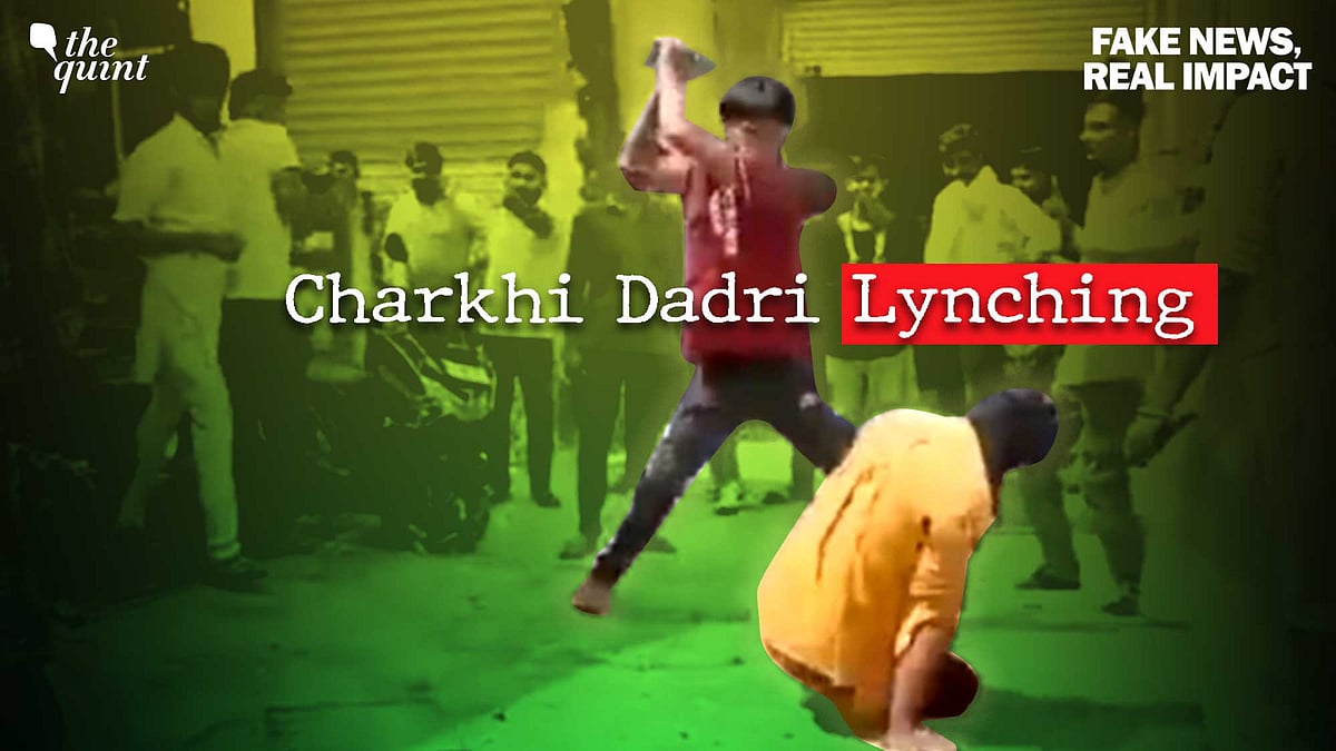 <div class="paragraphs"><p>In this episode of "Fake News, Real Impact", we show how a person's life was taken over rumours of cow slaughter. </p></div>