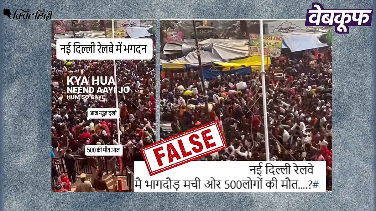 <div class="paragraphs"><p>अयोध्या में हुई भगदड़ का वीडियो नई दिल्ली रेलवे स्टेशन की बताकर वायरल</p></div>
