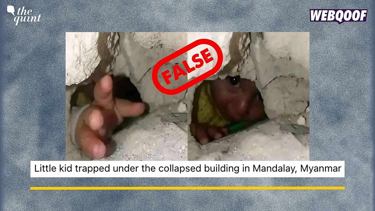 <div class="paragraphs"><p>Fact-Check: We were able to trace this image back to October 2024. </p></div>