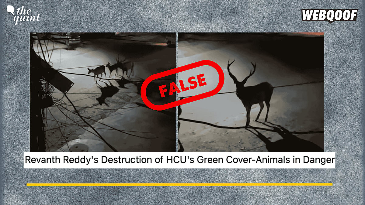 <div class="paragraphs"><p>Fact-Check: This video is not from Hyderabad. It is from Haridwar from 2020. </p></div>